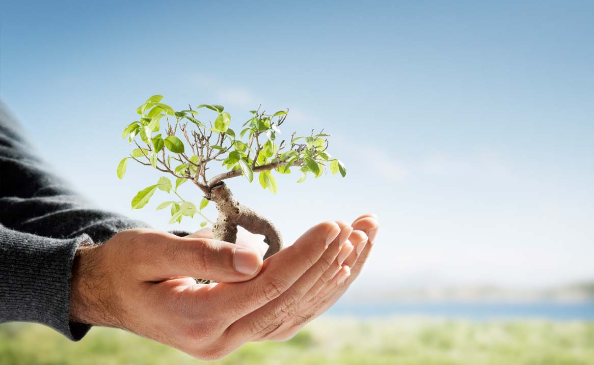 The Need for a Construction Environmental Management Plan (CEMP) in UK Planning and Building Regulations 2025